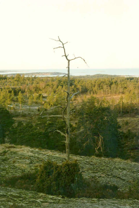 Krajina u Soltuny v Getě — historický snímek