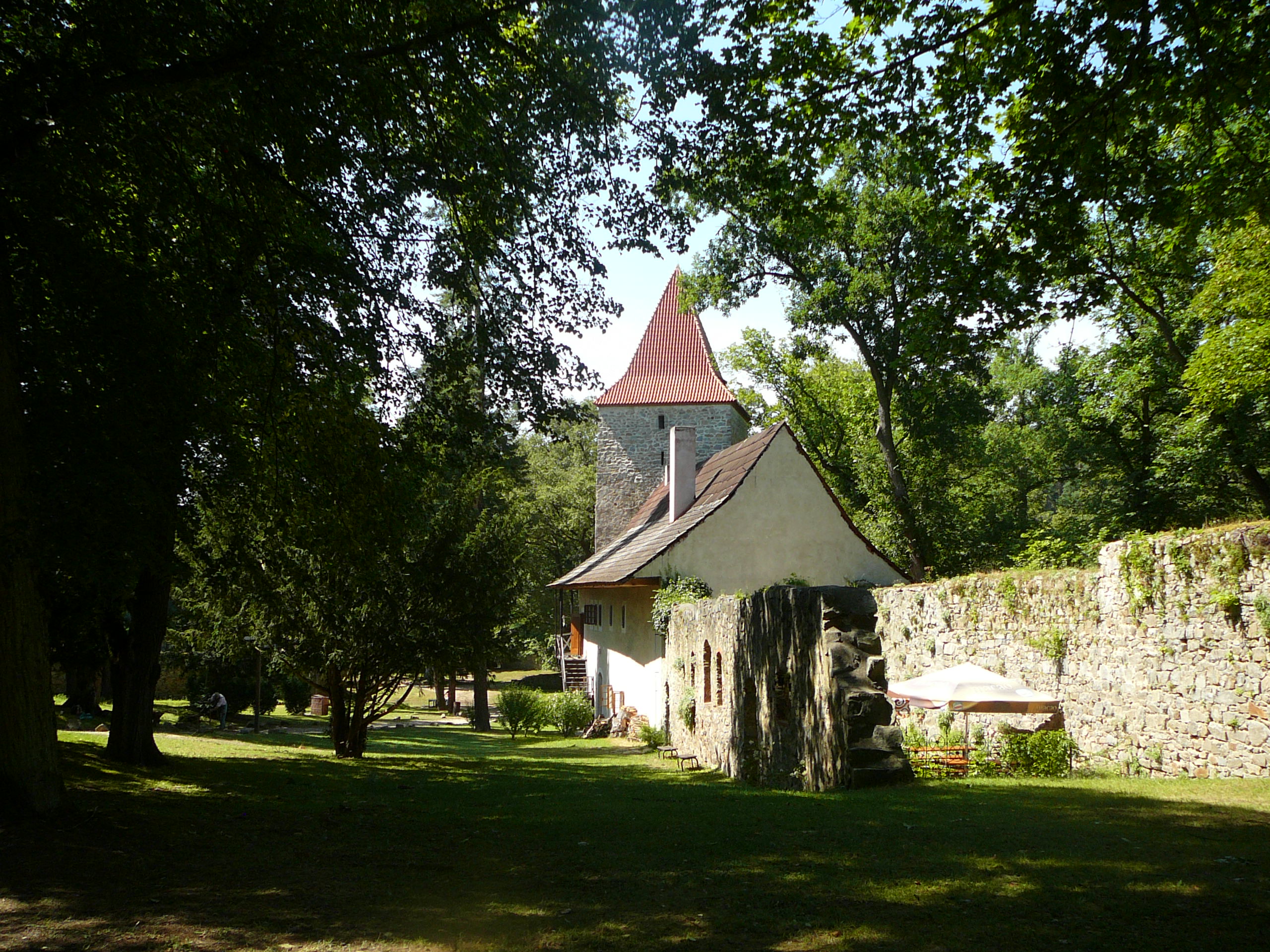 Zvikov Castle tower and buildings among trees