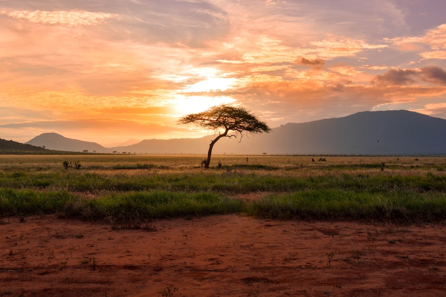 Lake Malawi at sunset the Lake of Stars Africa