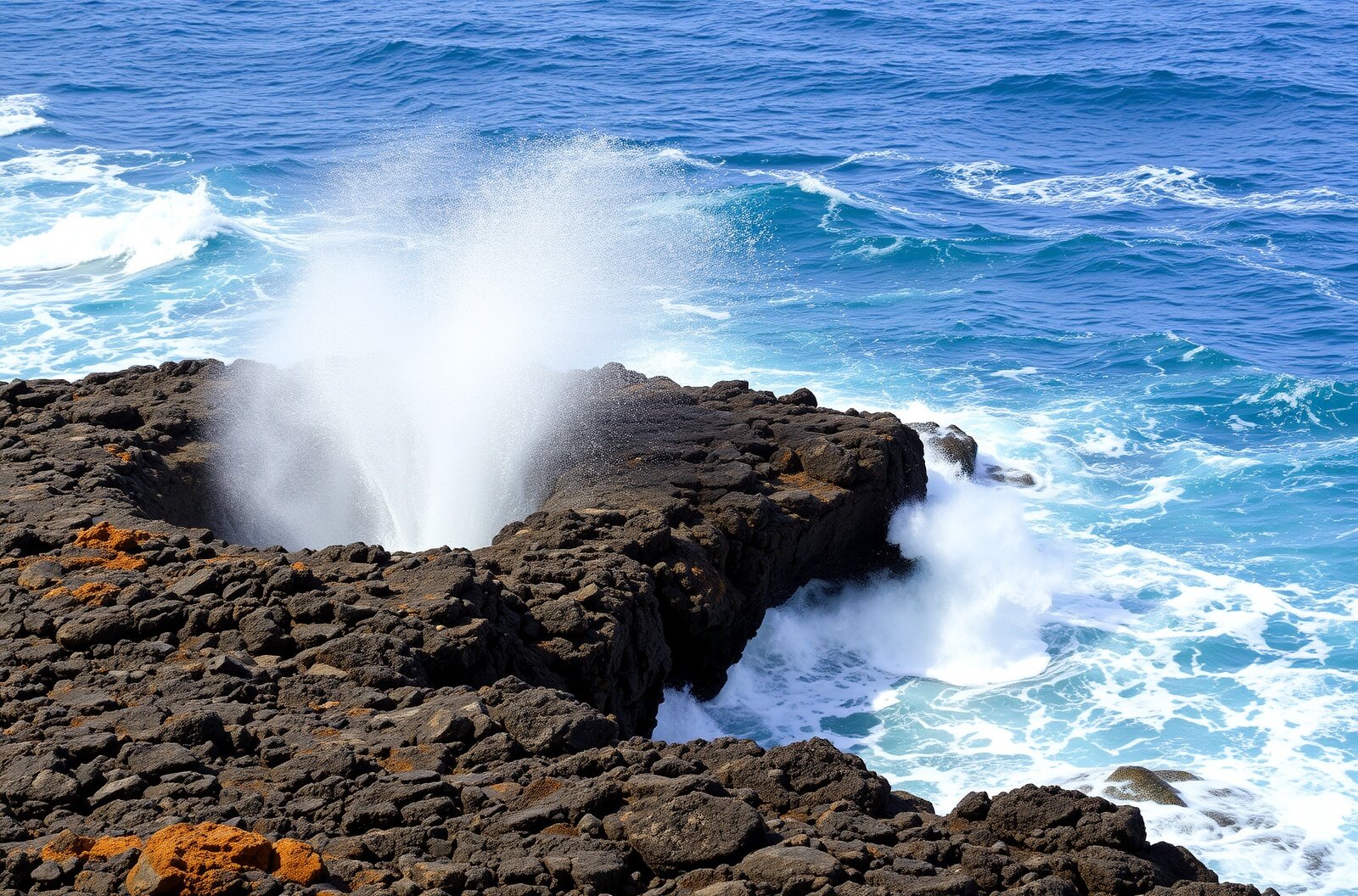 Blowholes