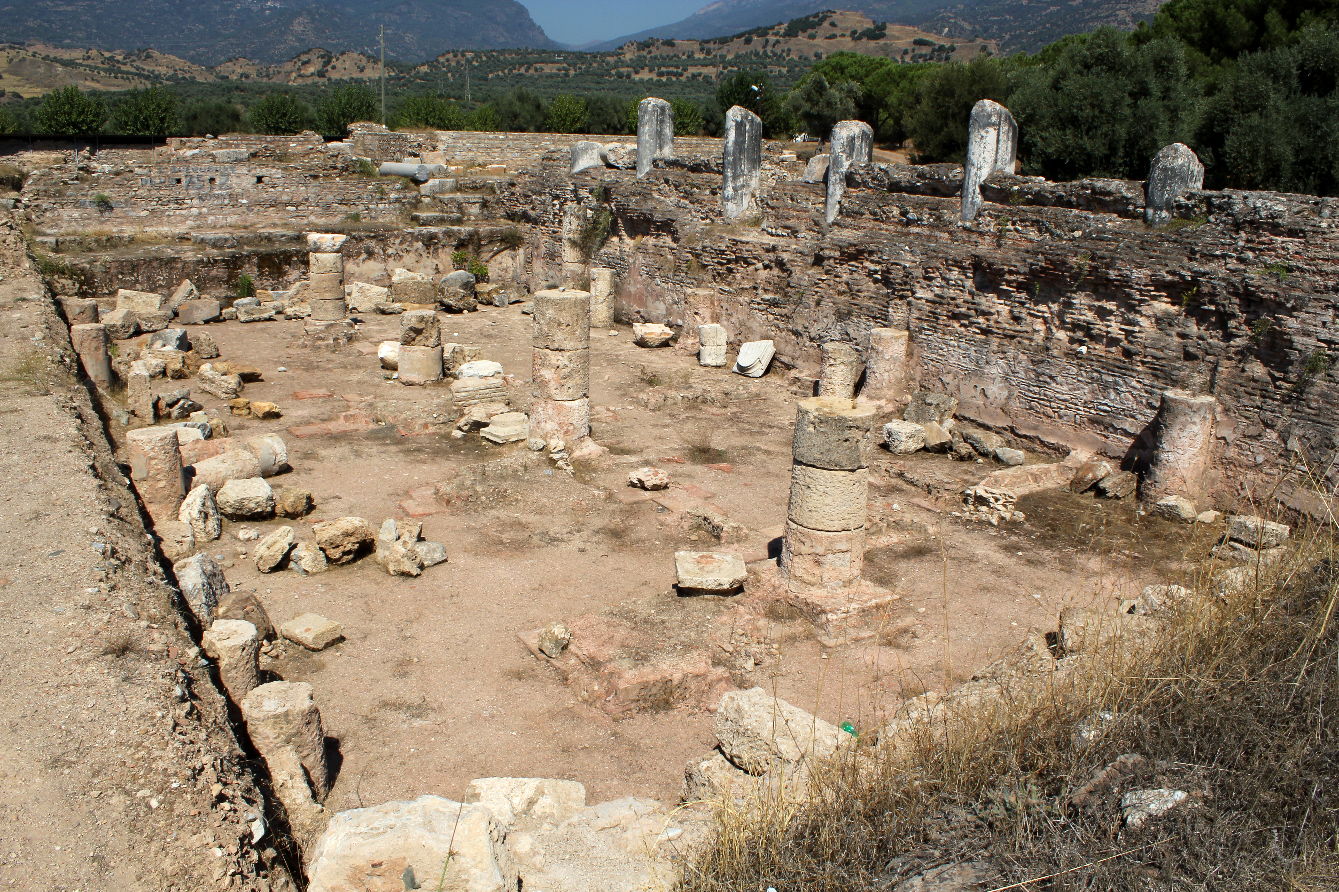 Excavated Roman gymnasium-bath complex at Tralleis