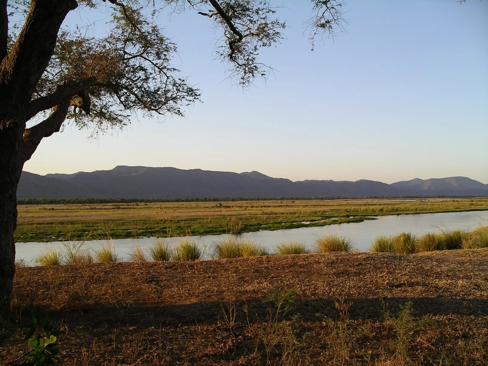 Zimbabwe — chapter photograph: Mana Pools National Park
